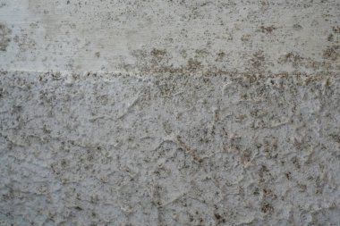 Kapalı alan duvarlarında küf ve mantar büyümesi var. Siyah noktalar, nem hasarı ve mikrobik kirlenme görülebilir. Eğitim, sağlık ve ev bakımı konuları için mükemmel.