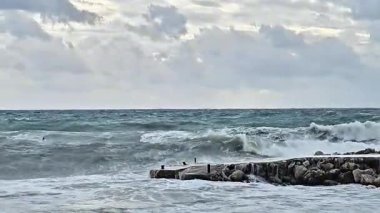 Güçlü fırtına dalgalarının denizde bir rıhtıma çarptığı yatay bir video. Dramatik kıyı havası ve okyanus enerjisi kavramı.