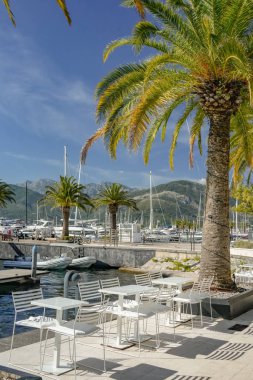 Dışardaki teras, masa ve palmiye ağaçlarıyla çevrili sandalyeler. Tropikal atmosferi ve rahatlatıcı seyahat yaşam tarzıyla güneşli Akdeniz sokak sahnesi.