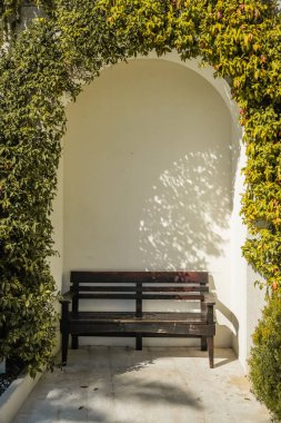 Yeşil sarmaşıkla kaplı bir duvarla kemerin altına yerleştirilmiş tahta bir bank. Konforlu mimari ve bahçe ayrıntıları, yaşam tarzı, seyahat, açık hava ve rahatlama için mükemmel..