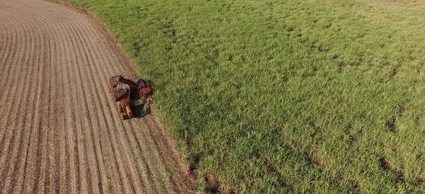 Sugar Cane Hasvest Plantation Three Machines View Aerial — Stock Photo, Image