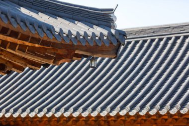 Geleneksel Kore Mimari Tarzı Hanok Konutları