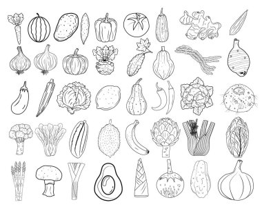 vegetables Vintage hand drawn garden vegetable collection Carrots vector set illustration
