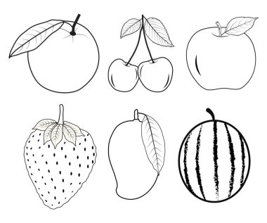 İzole edilmiş meyve vektörü illüstrasyonları