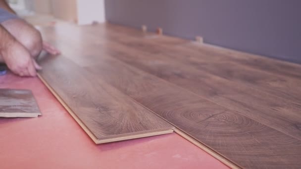Homem de trabalho instalando piso laminado na casa e conectando as tábuas laminadas juntas. — Vídeo de Stock