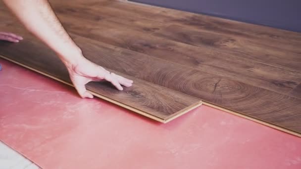 Homem de trabalho instalando piso laminado na casa e conectando as tábuas laminadas juntas. — Vídeo de Stock