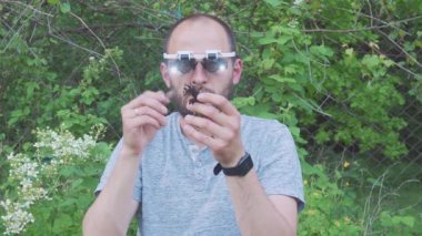 Genç bitki seçimi. Bitkilerin mercek kullanılarak incelenmesi. Özel gözlüklü çiftçi genç bitkilerin köklerini inceliyor..