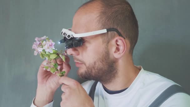 Biológus vagy agronómus speciális szemüveggel, hogy egy elemzést almavirág. — Stock videók