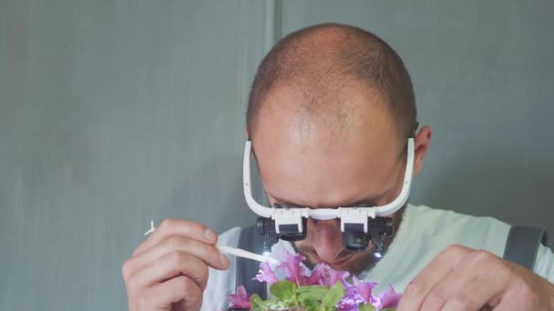 Özel gözlüklü biyolog ya da ziraatçi, elma çiçeğinin analizini yapıyor.. — Stok video