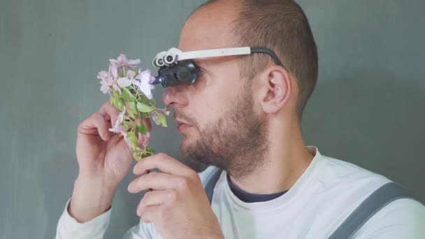 Biologiste ou agronome avec des lunettes spéciales, effectue une analyse de la floraison des pommes. — Video