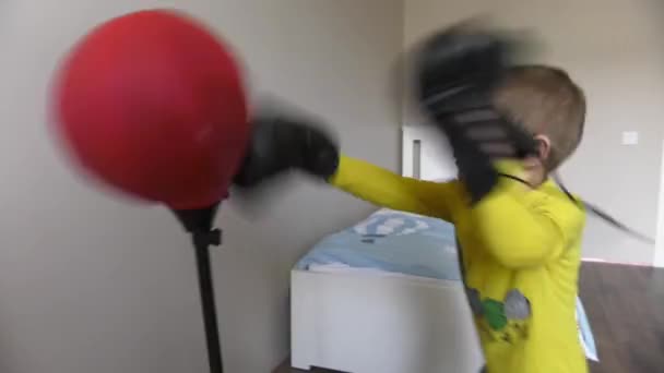 Boxe menino no quarto com pêra de boxe de brinquedo e luvas — Vídeo de Stock