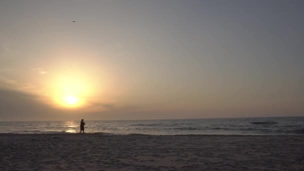 Una chica en la playa. silueta. puesta de sol. — Vídeos de Stock