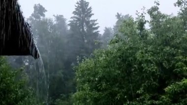 Ormanın yakınındaki bir köyde sağanak yağmur