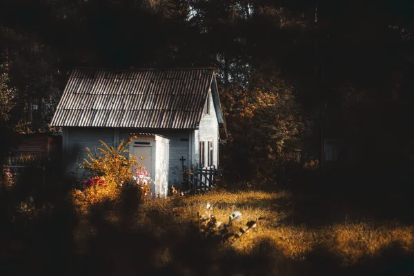 Vedere Unei Veri Mici Din Lemn Grădină Gazon Jurul Luminat — Fotografie, imagine de stoc