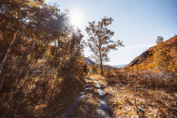 Bright Autumn Wide Angle Mountain Scenery Backlit Warm Sun Earth — Stock Photo, Image