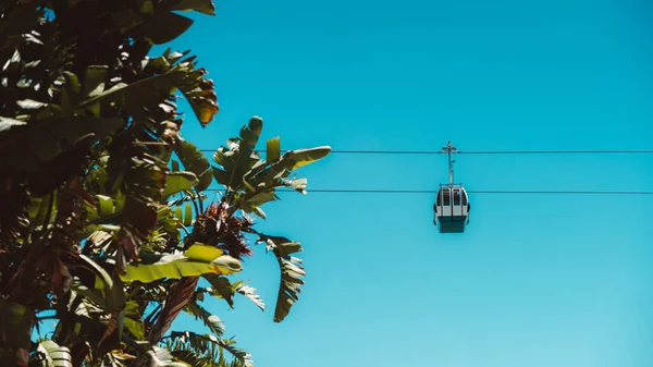 View Cableway Funicular Cabin Passing Front Clear Sky Palm Banana — Stock Photo, Image