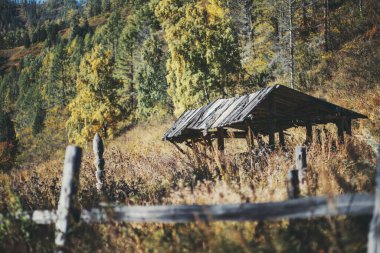 Eski ıssız bir ahşap barınağı olan bir sonbahar dağ manzarası ya da üçgen çatılı bir ahır ve ön planda harap bir çit, sararmış çayır otları ve huş ağaçları, yamaçtan uzak bir tepe.