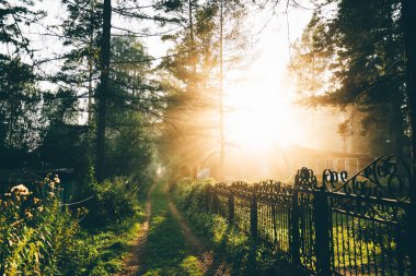 Banliyödeki bir köyde çimen ve ağaçlarla kaplı dar, gizemli bir yol. Güneşin vurduğu çarpıcı bir akşamın günbatımında bahçedeki şenlik ateşi dumanından Tanrı ışınlarına doğru yayılıyor.