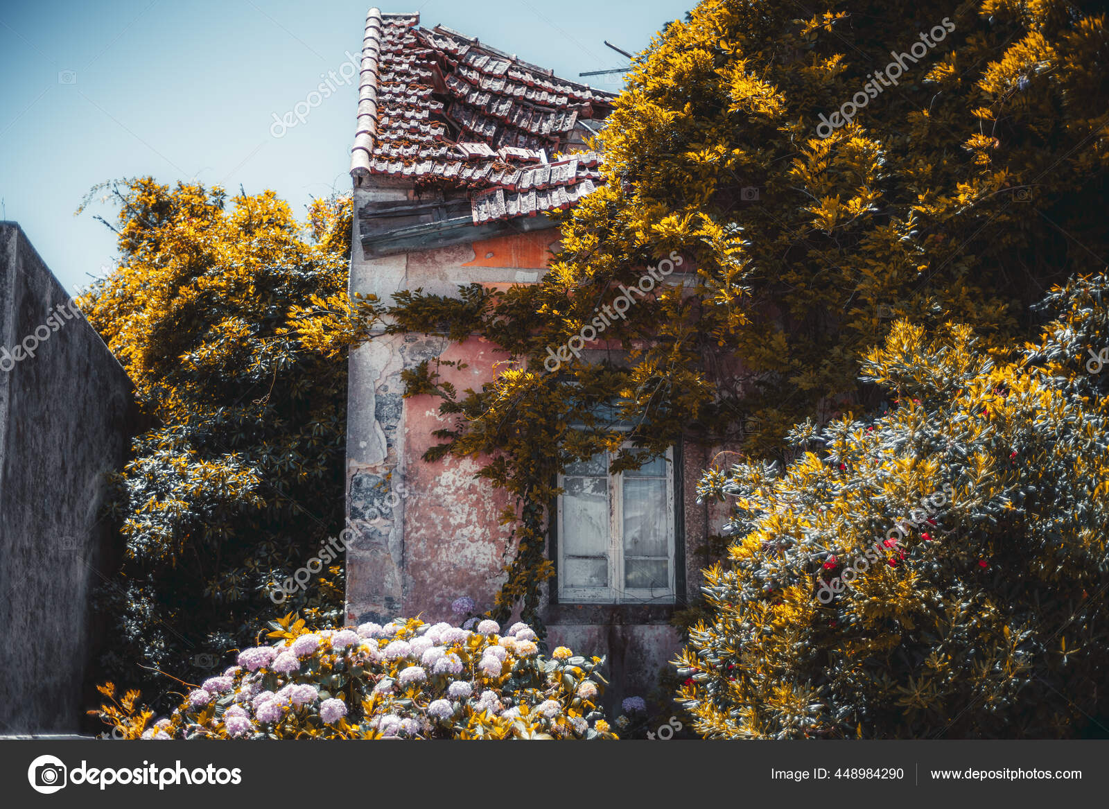ポートフォリオ Skynextphoto ページ 2 ストック写真 イラストとベクターアート Depositphotos ポートフォリオ Skynextphoto ページ 2 ストック写真 イラストとベクターアート Depositphotos