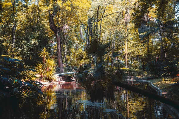 The scenery with a beautiful pond in the shadow of a city park or a botanical garden with a small curved pedestrian bridge in the distance surrounded by palms, trees, bushes, and other plants