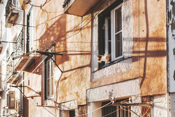 Vista Uma Parede Rebocada Laranja Uma Antiga Casa Residencial Com — Fotografia de Stock