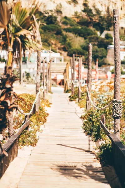 Ein Vertikaler Blick Auf Einen Schmalen Gang Der Vom Strand — Stockfoto