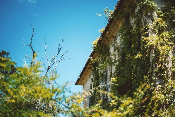 Canto Uma Antiga Casa Europeia Desolada Com Uma Árvore Seca — Fotografia de Stock