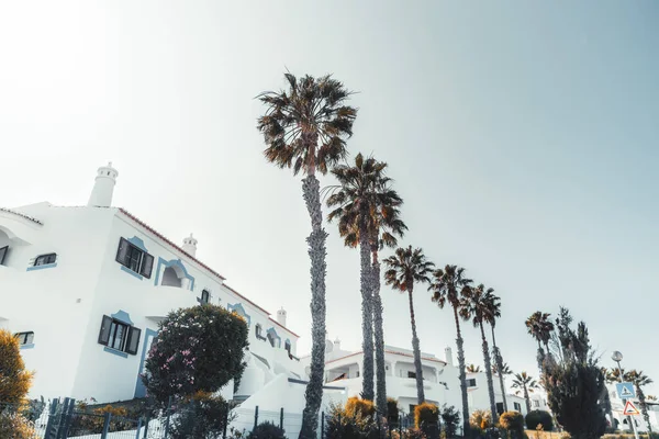 Bir tatil köyünün alt sokağından geniş açılı bir manzara akşam gökyüzünün önünde bir sıra imparatorluk palmiyesi ve arka planda tipik Avrupalı misafir evleri ve apartmanlar, Carvoeiro