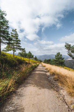 İspanya 'nın Asturias kentindeki yeşil çamlar ve altın çimler boyunca uzanan toprak yolun dikey geniş açılı görüntüsü parlak bulutlu gökyüzü altındaki uzak sisli dağlara doğru gidiyor.