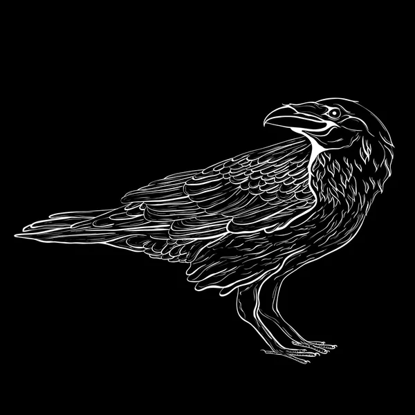 Corbeau noir. Croquis Oiseau — Image vectorielle