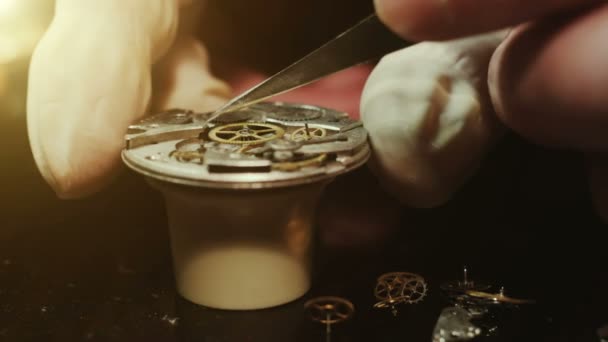 Mechanische horloge reparatie proces. Open zakhorloge — Stockvideo