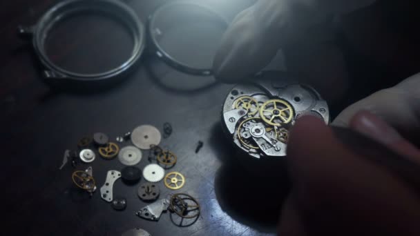 Mechanische Uhrenreparatur. Offene Taschenarmbanduhr — Stockvideo