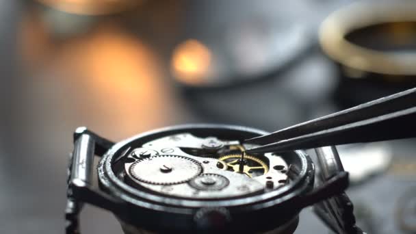 Proceso de reparación de relojes mecánicos. relojero — Vídeo de stock