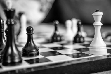 Satranç oyna. Satranç taşları tahtada. Entelektüel oyun