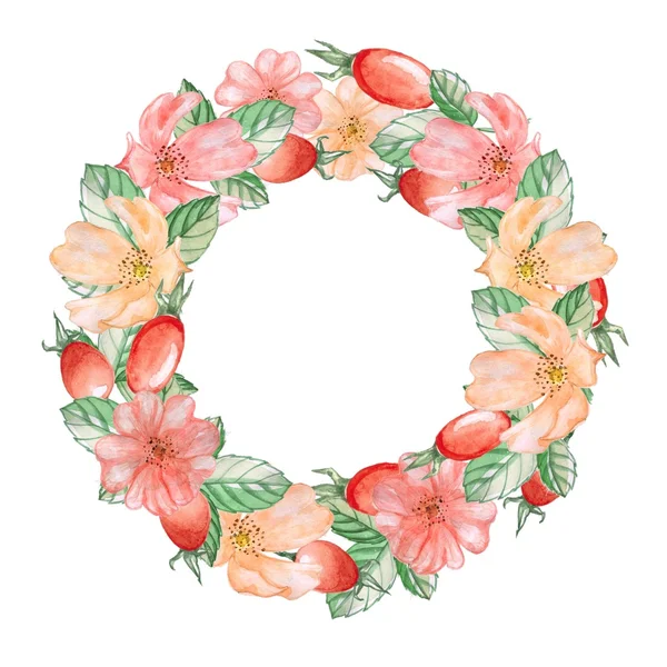 Rose hips bir çelenk. Suluboya resim.