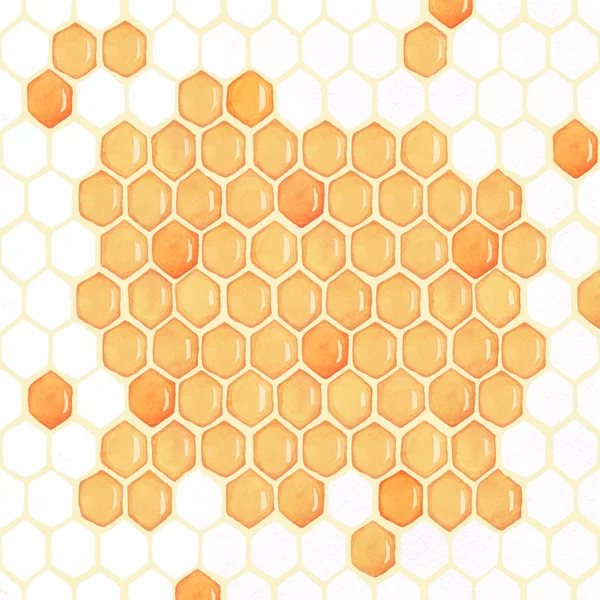 Honeycomb. Honey. Background. Watercolor drawing