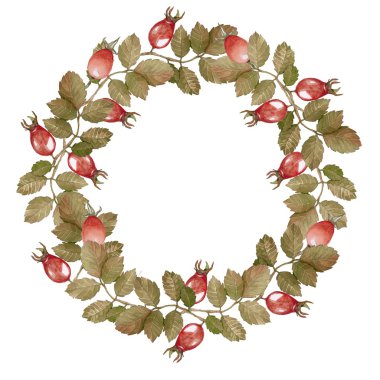 Çelenk olgunlaşmış meyveler rose hips dekorasyon ve tasarım.