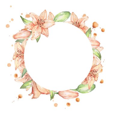 Zambak 8. Arka plan. Beyaz izole. Suluboya resim. 