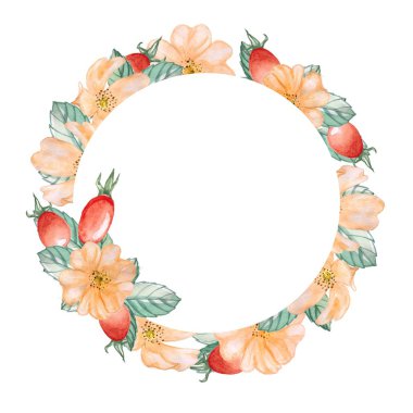 Rose hips 2. Suluboya resim