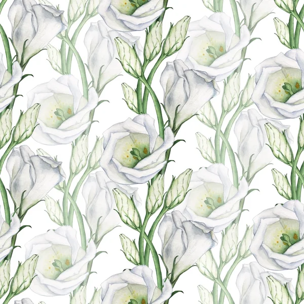 Vita blommor. Seamless mönster. — Stockfoto