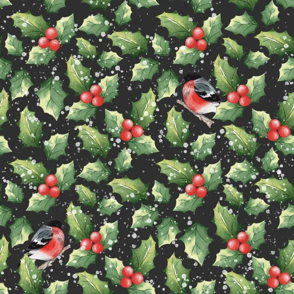 Modèle de Noël avec des pinsons et des feuilles de gui 6. Aquarelle motif sans couture sur un fond noir. — Photo