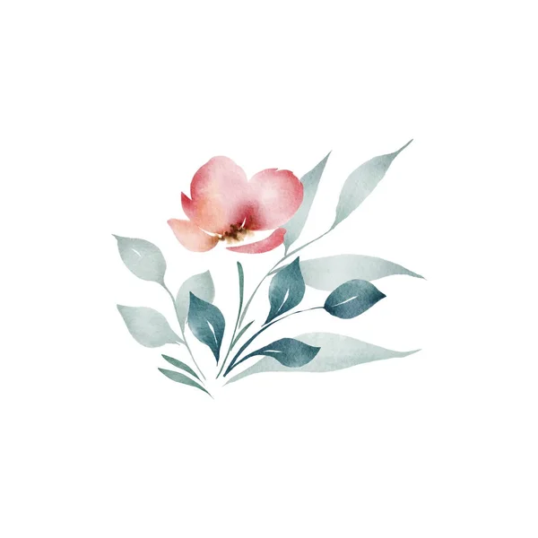 Delicate floral bouquet 2. Digital in watercolor style. poppy flowers with delicate greenery and eucalyptus — Stock Photo, Image