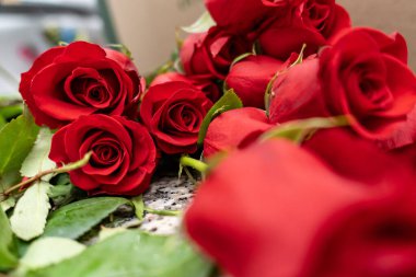 Benekli bir yüzeyde duran kırmızı güller aşk ve tutku temalarını ifade eder.