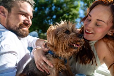 Güneşli bir günde sevimli Yorkshire teriyer köpeklerini dışarıda okşayan çift.