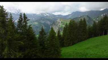 İsviçre 'de yemyeşil yemyeşil bir dağ manzarası