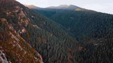 Sonbaharda günbatımında çarpıcı orman manzarasını keşfedin.