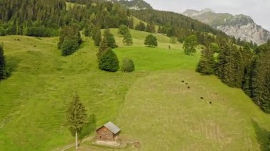 Yaz boyunca dağlarda sakin bir çayırın manzarası