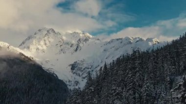 Karlı dağ manzarası berrak gökyüzü ve yüksek ağaçlarla