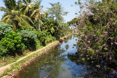 tropikal plaj manzara