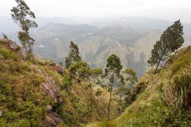 sri Lanka dağ manzarası.